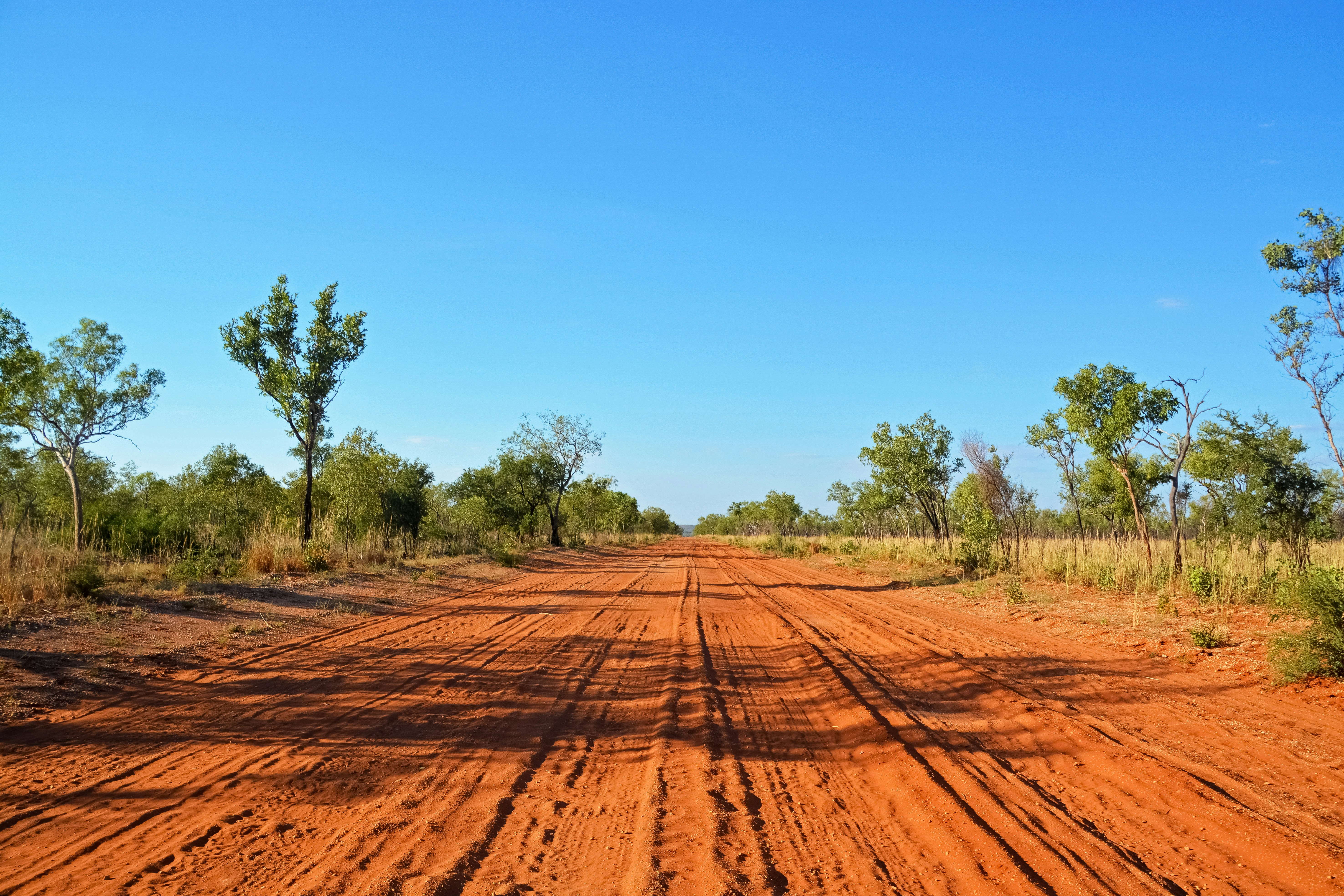 brown dirt road between green trees under blue sky during daytime